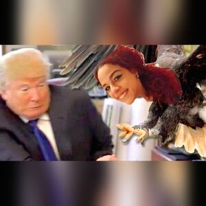 Meet your Posher, Bink